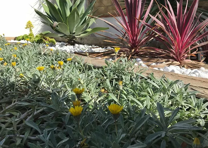 度假居 Dimora Ammare 阿格里真托